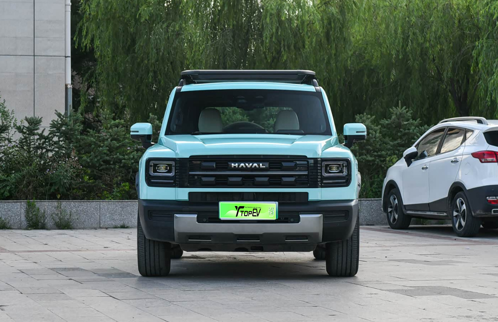 Haval Raptor used car